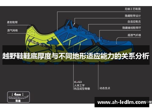越野鞋鞋底厚度与不同地形适应能力的关系分析